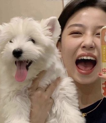 適合鏟屎官的頭像