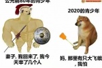 Summary of emoticons comparing two dogs