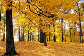 深秋风景图片高清电脑壁纸