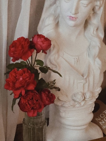 March red rose picture mobile wallpaper