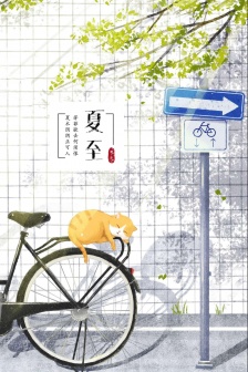 Summer solstice fresh mobile phone wallpaper picture