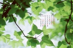 September 2021 small fresh natural scenery calendar wallpaper