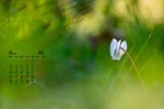 Eye-protecting green floral desktop calendar wallpaper for April 2021