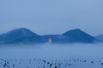 West Lake advection fog mobile wallpaper