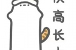 快高长大