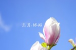 2月再见3月你好图片桌面壁纸