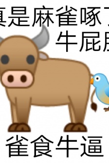 Yin and yang expression pack