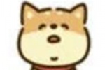 热门可爱柴犬卡通表情包图片