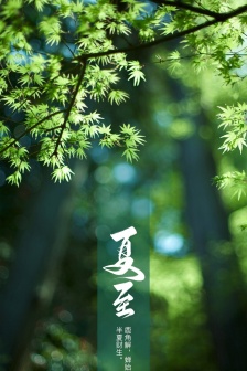 24 solar terms summer solstice mobile wallpaper