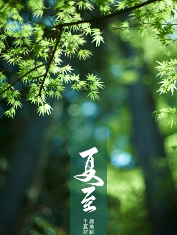 24节气夏至手机壁纸