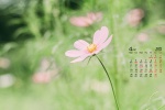 April 2022 small fresh flowers and green leaves calendar wallpaper