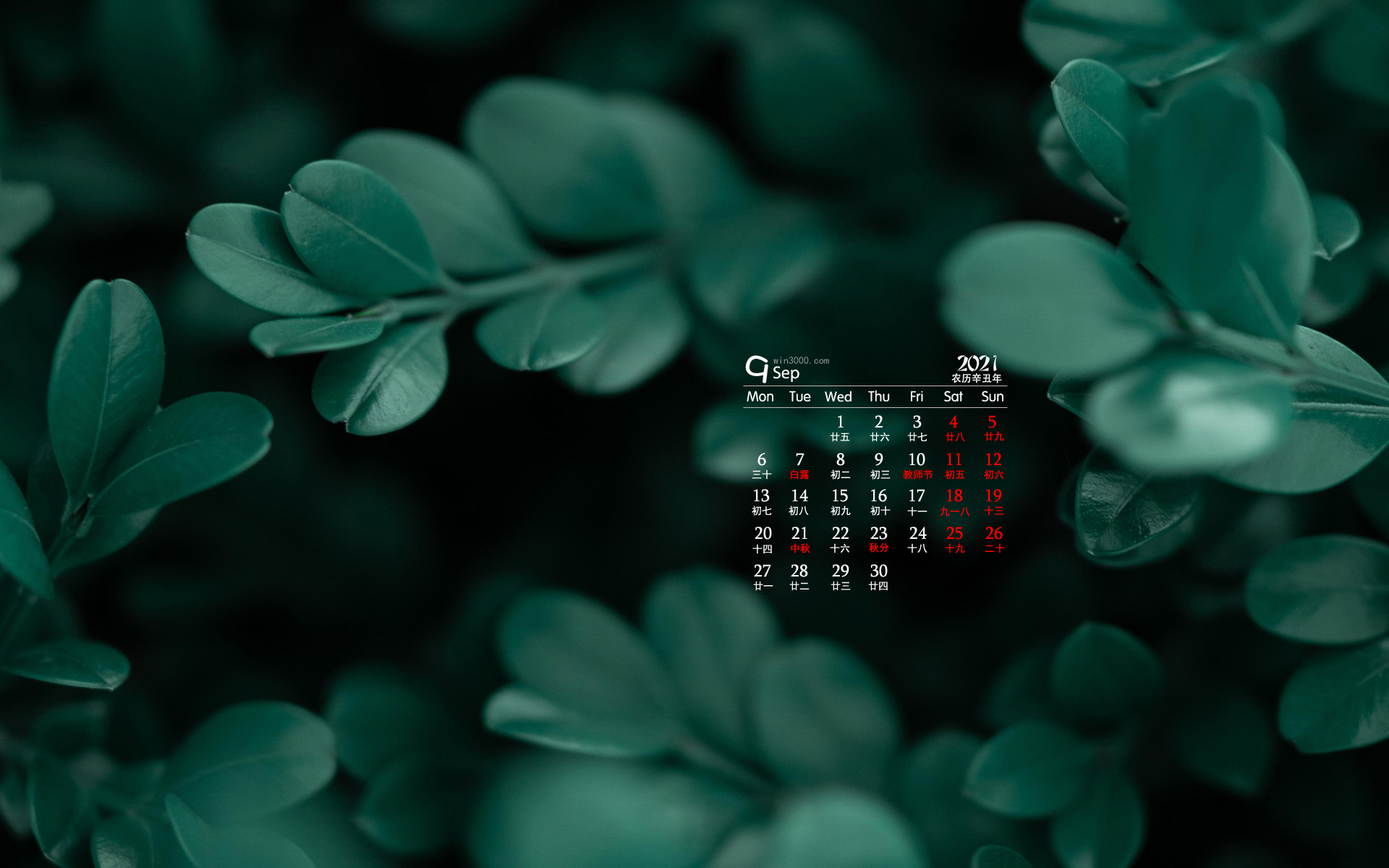 2021年9月翠绿色植物电脑日历壁纸