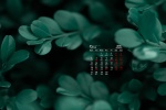 2021年9月翠绿色植物电脑日历壁纸