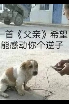 怼人常用表情包