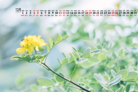 December 2021 HD Calendar Wallpaper Pictures