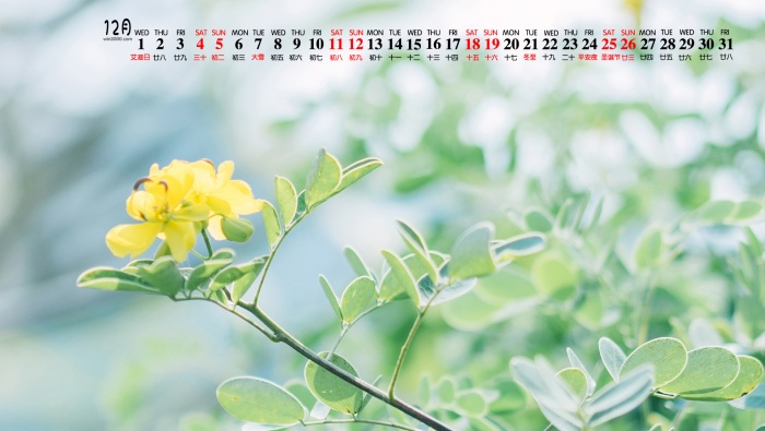 December 2021 HD Calendar Wallpaper Pictures