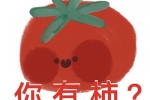 你有柿？