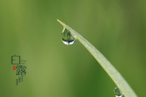 Twenty-four solar terms white dew computer wallpaper