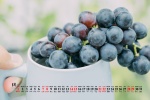 August 2021 gourmet desktop calendar wallpaper under the blue sky