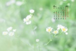 2022年4月纯绿色自然风景桌面日历壁纸
