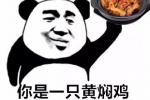 你是一只黄焖鸡又黄又闷又垃圾