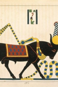 古埃及阿匹斯神组图