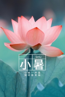 24 solar terms Xiaoshu mobile wallpaper pictures