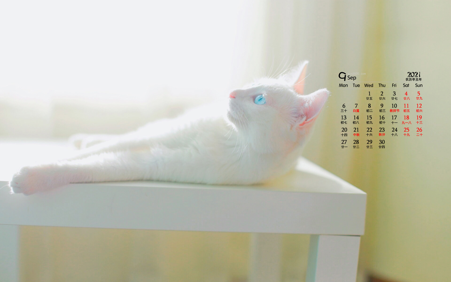 2021年9月可爱动物猫咪桌面日历壁纸