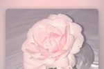 Beautiful artistic conception mobile wallpaper pictures