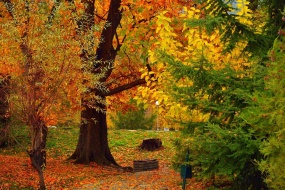 2021最美的秋天景色图片桌面壁纸