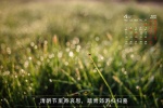 April 2022 Qingming Festival desktop calendar wallpaper