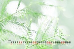June 2021 pure green natural scenery desktop calendar wallpaper