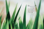 September 2021 summer grass green leaves eye protection desktop calendar wallpaper