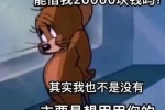 能借我20000块钱吗？其实我也不是没有，主要是想用用你的