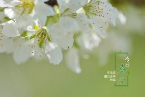 春分时节唯美风景图片壁纸