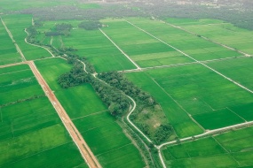 绿色田园自然风景图片桌面壁纸