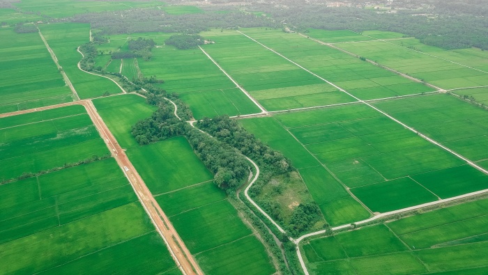 绿色田园自然风景图片桌面壁纸