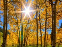 秋天的景色（八）