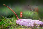 May 2021 small fresh scenery desktop calendar wallpaper