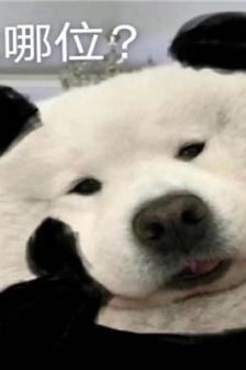 气死男朋友系列表情包图片