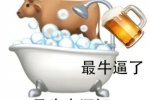 母牛坐酒缸，最牛逼了