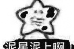 泥星泥上啊