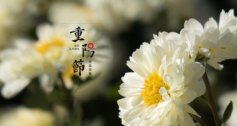 重阳节手机壁纸