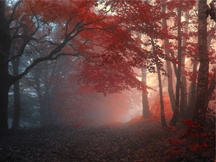 秋天的景色（六）