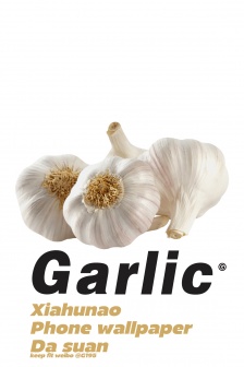 蔬菜主题创意手机壁纸