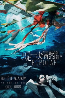 電影《隻是一次偶然的旅行》海報圖片