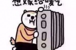 想嫁给暖气表情包表情包