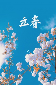 Beginning of spring flowers mobile wallpaper pictures