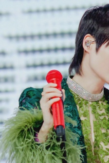 Li Yuchun green lace and feather outfit fashion photo