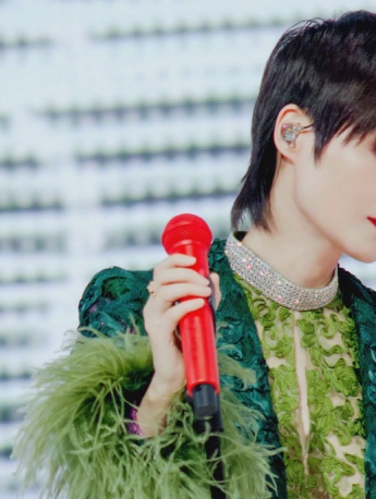 李宇春绿色蕾丝羽毛装时尚写真